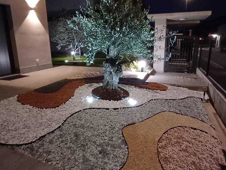 Olivo illuminato di notte al centro di un giardino con ghiaie colorate